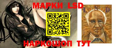 гашик Волжский