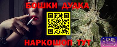 гашик Волжский