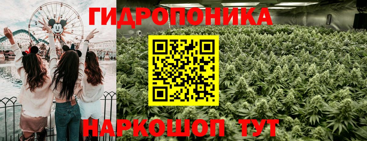 МАРИХУАНА White Widow Моздок